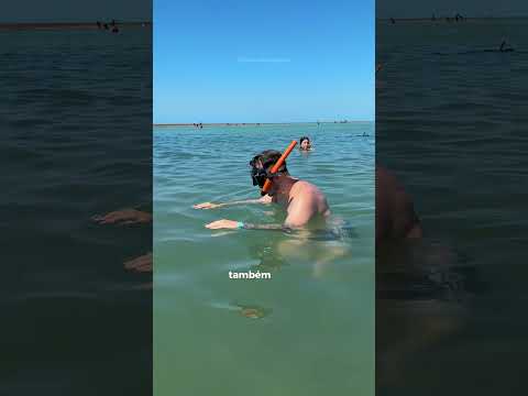 #portoseguro #bahia #trending #videoviral #shorts #viagem #trendingshorts #recife #turismo #fyp