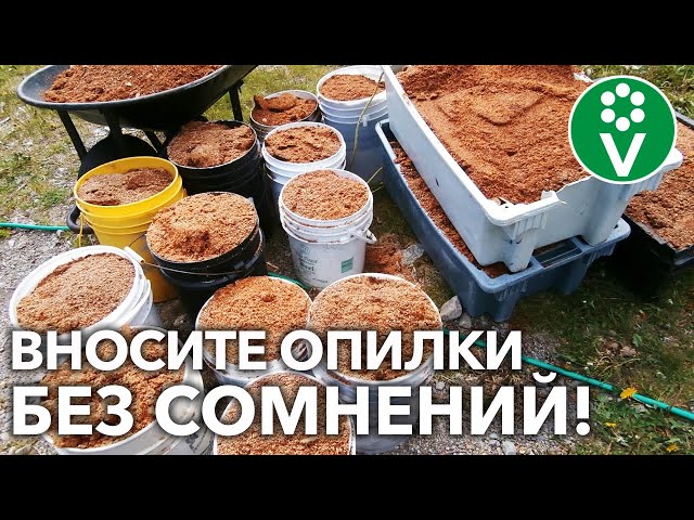 ДАЖЕ ТОНКИЙ СЛОЙ ОПИЛОК УЛУЧШАЕТ ПОЧВУ! Растениям понравится &ndash; убедитесь сами!