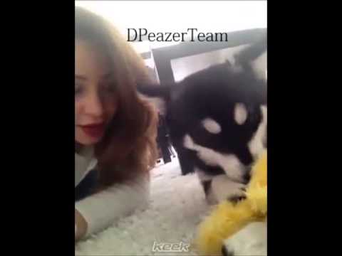 Danielle Peazer's New Hair (And Loki)