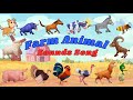 Farm Animal Sounds Song B1TH11 Animals Sounds Song For Kids Kids TV