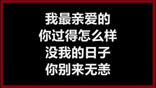 张惠妹 - 《我最亲爱的》 [歌词]