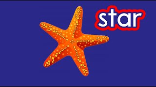 STAR Shapes  CVI friendly video for kids gameplay video by JulStar, 3:20 duration