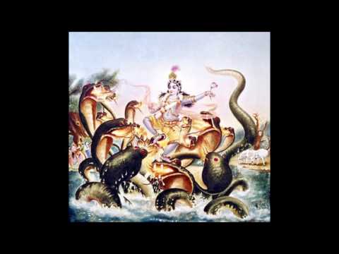 Srimad-Bhagavatam 02.07 Purports - Scheduled Incarnations with Specific Functions