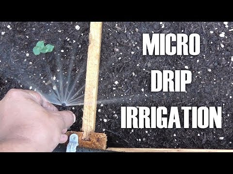 Drip Irrigation Questions Answered Q A For Drip Irrigation Systems