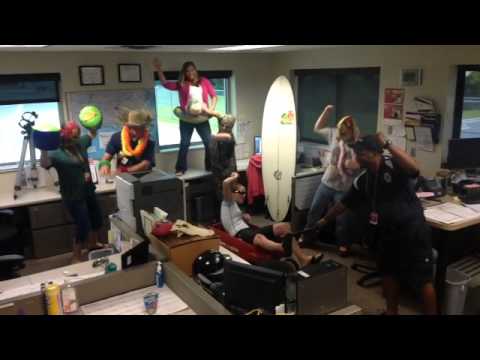 What really happens in dispatch- Harlem shake