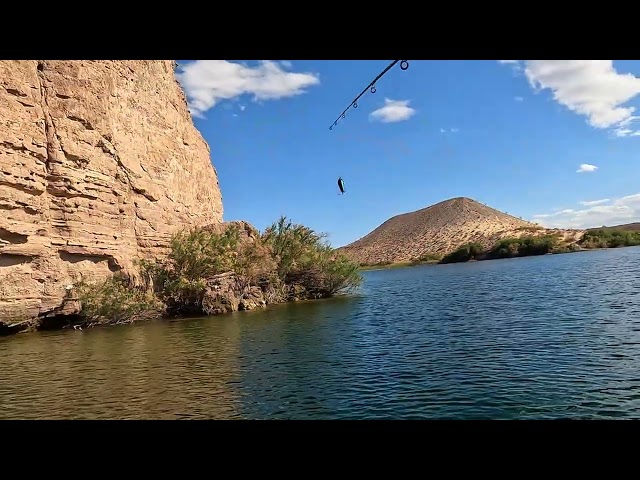 Judge.me YouTube video placeholder