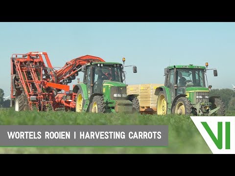 Wortels rooien | Harvesting carrots | Heyboer BV | Biddinghuizen, The Netherlands