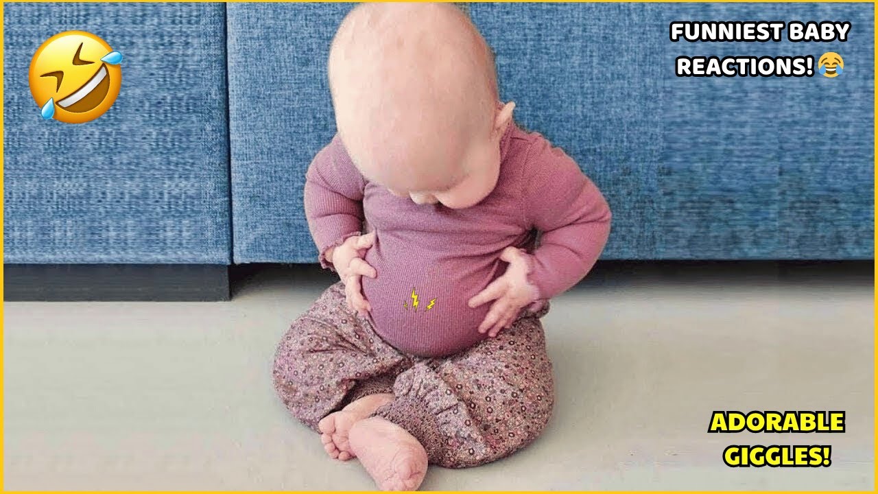 Baby Reactions That Will Make You Laugh Instantly 😂 Cutest Funny Moments 2025!