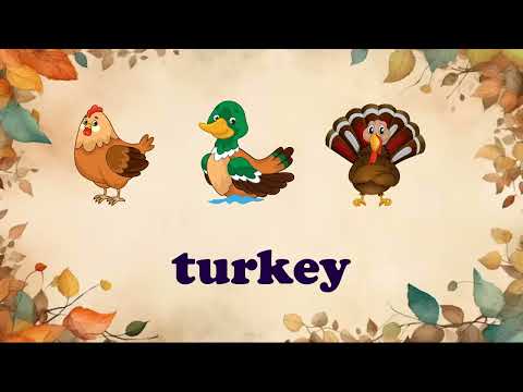 Video: Thanksgiving Vocabulary Quiz
