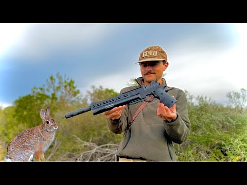 Budget Air Pistol - Will It Hunt?