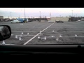 Walmart Seagulls