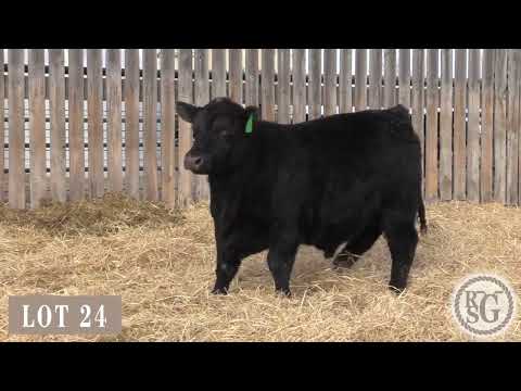 Lot 24 Range Boss 187J