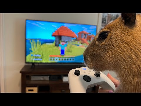 World Record Capybara Speedrun in Minecraft!