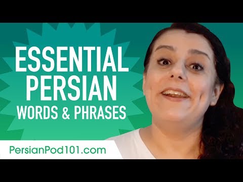 Essential Persian Words and Phrases to Sound Like a Native