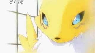 Digimon : tamers: Renamon and rika