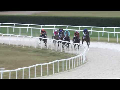 2018.08.26. 07. futam - NÉMETH FERENC EMLÉKKUPA IV. FUTAMA HENDIKEP (V/b.)(szintetikus pálya)