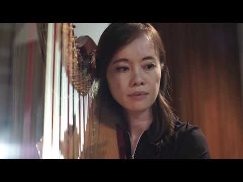 Duet for Two Harps on Subjects from Bizet's Carmen by John Thomas