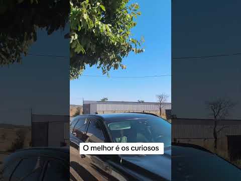 Latam voo direto de Caldas Novas Goiás a São Paulo - O melhor são os curiosos