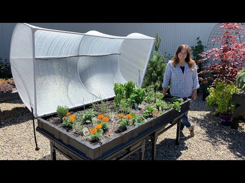 download lagu mp3 mp4 Vegepod Raised Garden Beds, download lagu Vegepod Raised Garden Beds gratis, unduh video klip Vegepod Raised Garden Beds