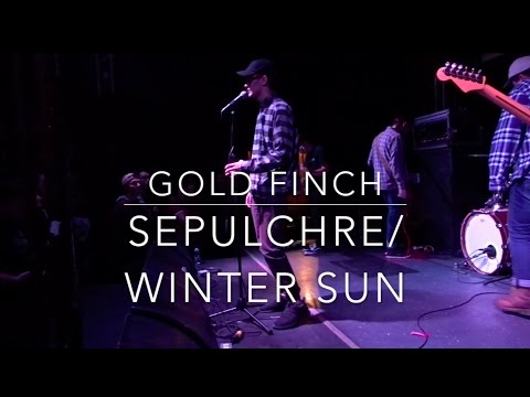 GOLD FINCH - SEPULCHRE/WINTER SUN LIVE IN LONDON ONTARIO