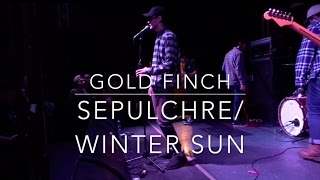 GOLD FINCH - SEPULCHRE/WINTER SUN LIVE IN LONDON ONTARIO