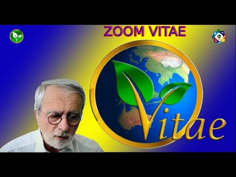 , title : 'Ông Erik nói gì trong buổi Zoom Vitae toàn cầu | Mầm Xanh Vitae #mamxanhvitae #Vitae'