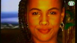Nenah Cherry "Money Love" (1992 Virgin Records)