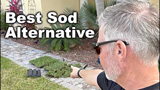 Planting Sod Pods (Grass Plugs) To Fill In Big Dead Spots In The Lawn