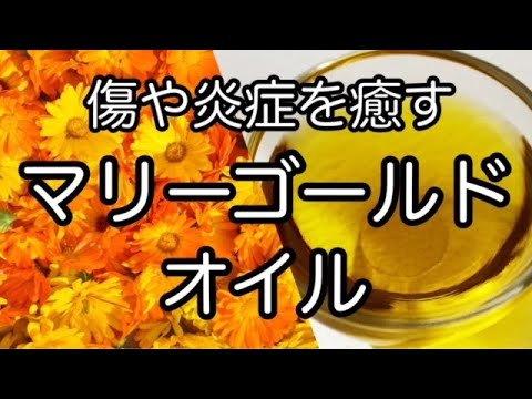 マリーゴールドオイルを自分で作る:これが仕組みです 植物