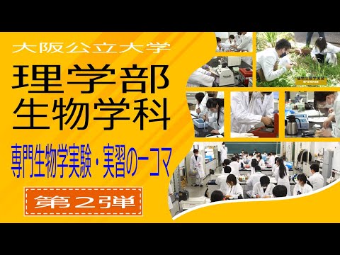 公共経営学科 大阪公立大学　理学部生物学科　専門生物学実験・実習の一コマ・第２弾