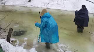 Ссылка