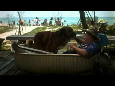 Vorschaubild für Summer Rental: Ein total verrückter Urlaub Trailer
