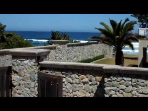 Gallie Meyerstreet 1