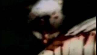 EBM: Borghesia - Blato (Official)