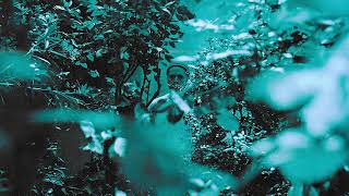 Frah Quintale - Lambada