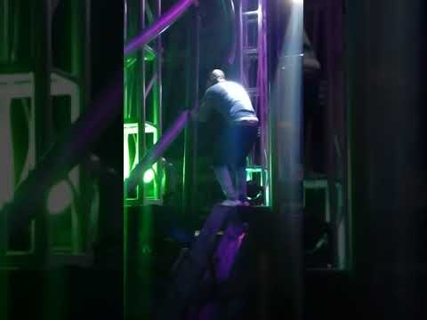 Vylmark Maxibilian shell down UWI campus