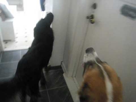 2 OTIS MAN-POWERED ELEVATORS AT MY HOME