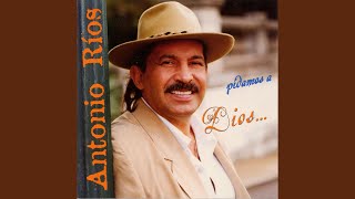 Por Ti Daría Mi Vida Lyrics English Translation