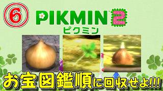 【記憶力勝負】#06 図鑑順でないとお宝が回収できない縛り【ピクミン2】