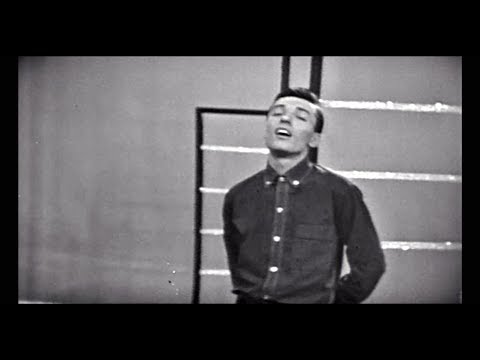 Karel Gott - Maria / Písnička pro Martinu / Je krásné lásku dát (Sestřih největších hitů 60. let)