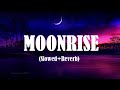 Moon Rise (Slowed+Reverb) | Guru Randhawa