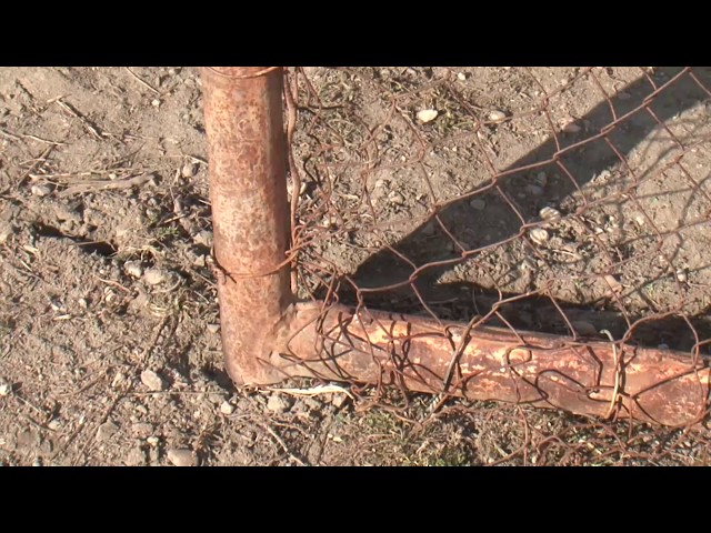 Нездоровые игры