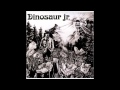 Dinosaur Jr. - Forget the Swan