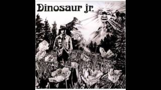 Dinosaur Jr. - Forget the Swan