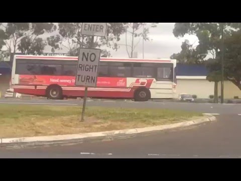 Small Truck + Grendas bus Whitehorse Road