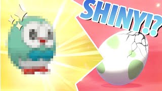 Pokemon: Sword | Reaction - Shiny Rowlet!