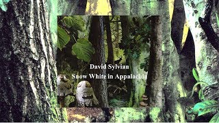 David Sylvian / Snow white in Appalachia (with Lyrics)
