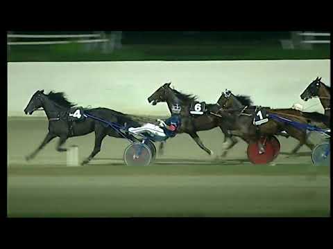 Napoli Trotto 23/07/2022 - 5ª corsa