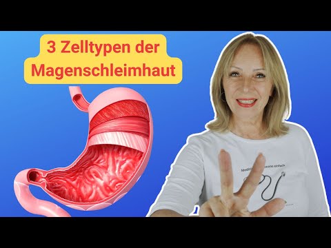 Magensäure erklärt: So entsteht die Säure im Magen | Anatomie einfach mit Dr. Claudia Bignion