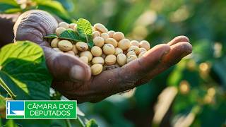  Royalties da soja - 08/04/2026 16:00